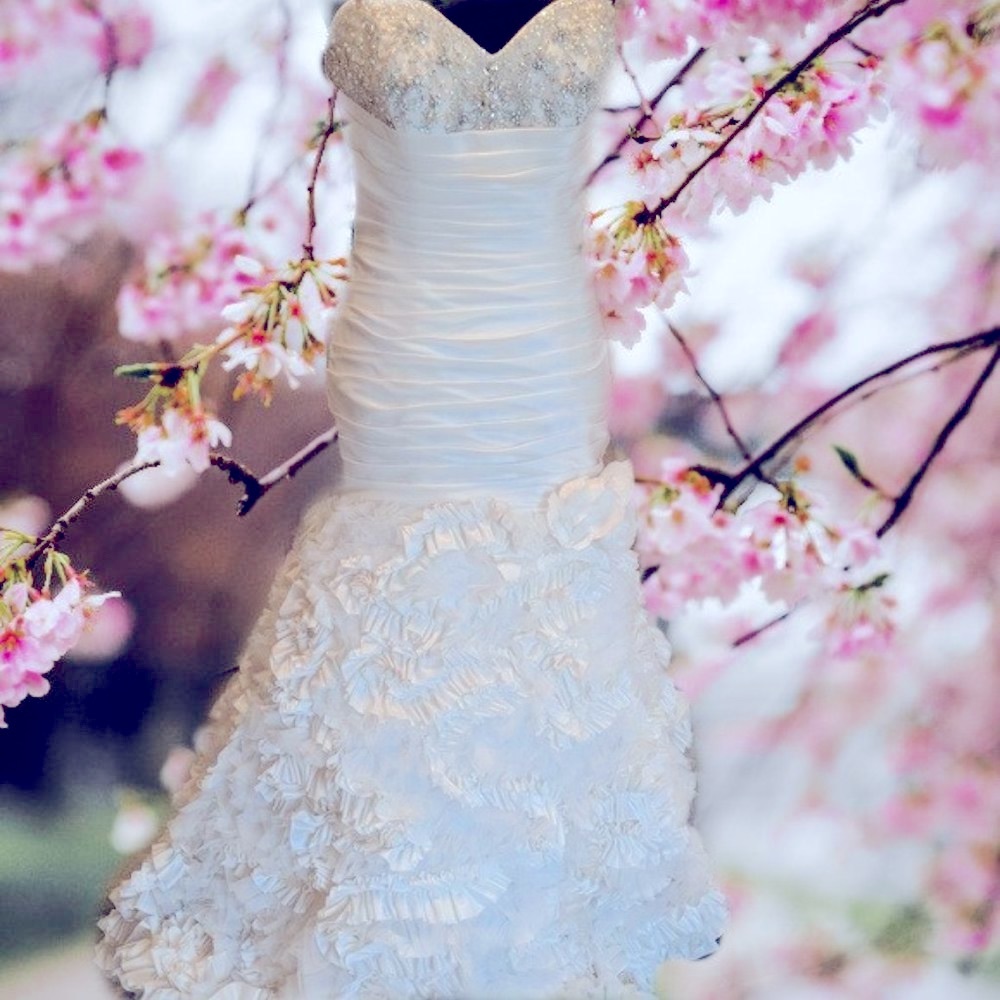 Angelica Faccenda Wedding Bridal Gown